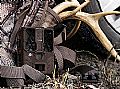 Spypoint trail camera  FORCE 20